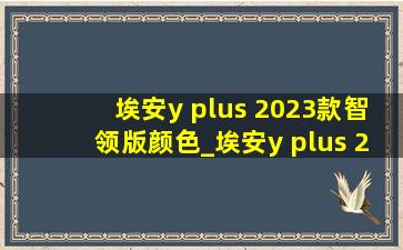 埃安y plus 2023款智领版颜色_埃安y plus 2023款智领